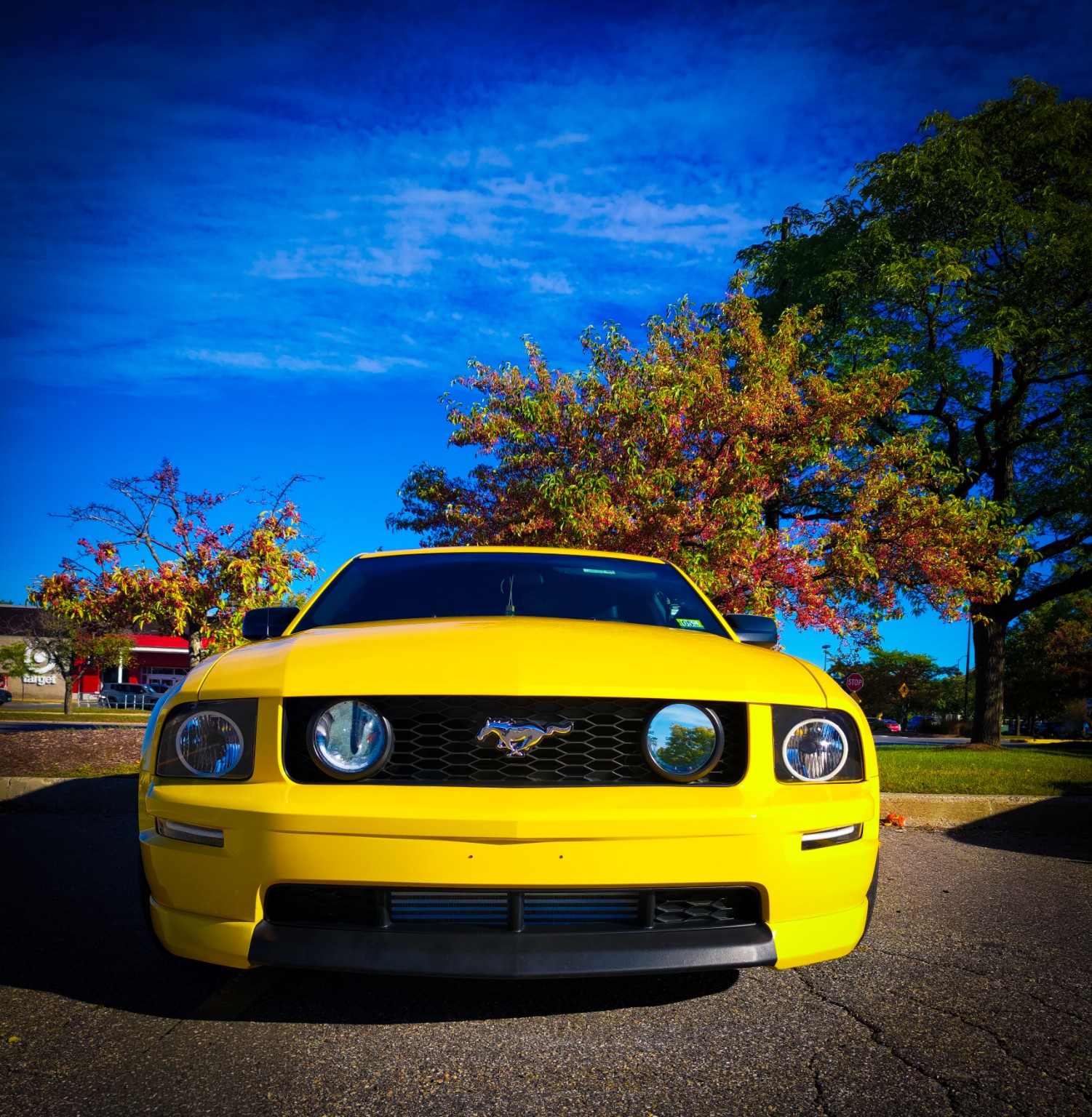 Yellow Ford Mustang with autumn trees